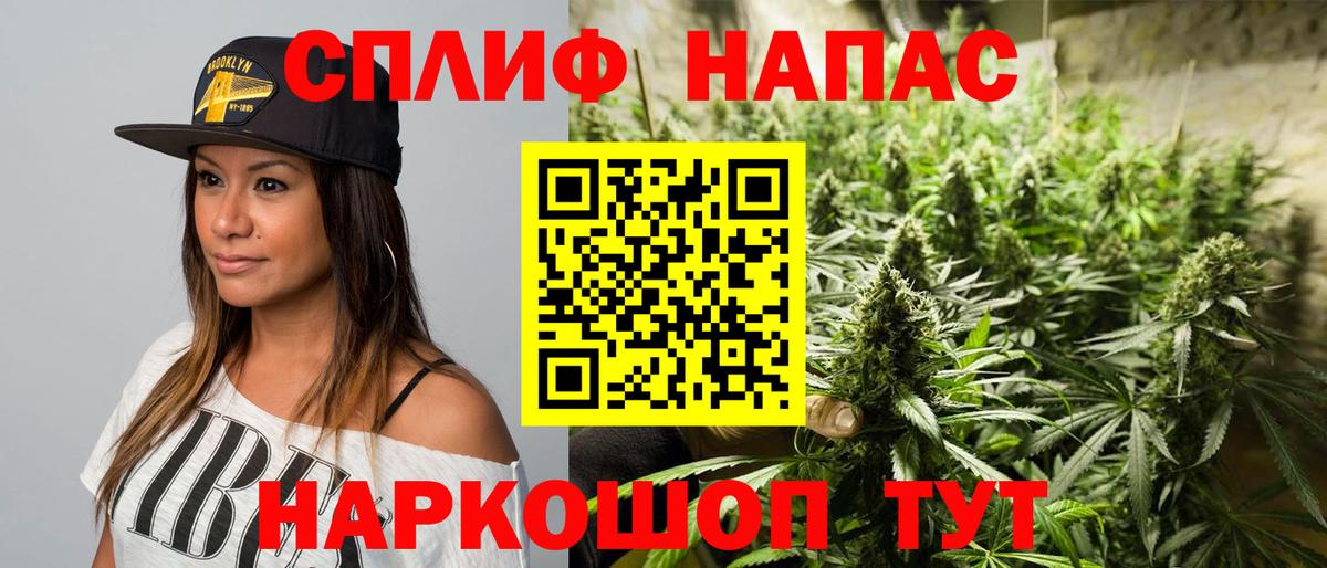 Конопля планчик Новороссийск